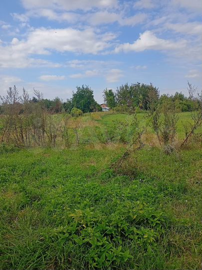 Участок 31,5 сот. (СНТ, ДНП)