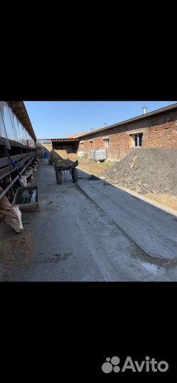 Сельское хозяйство