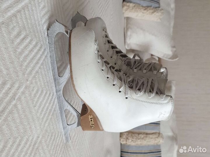 Коньки Edea chorus 220