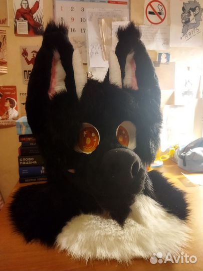 Фурсьют волка