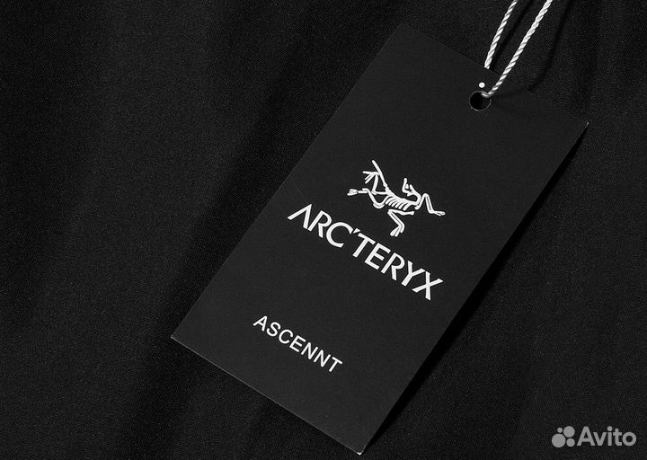 Спортивные штаны Arcteryx