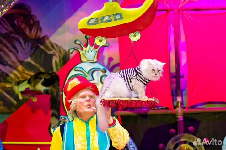 Билеты в театр Куклачёва