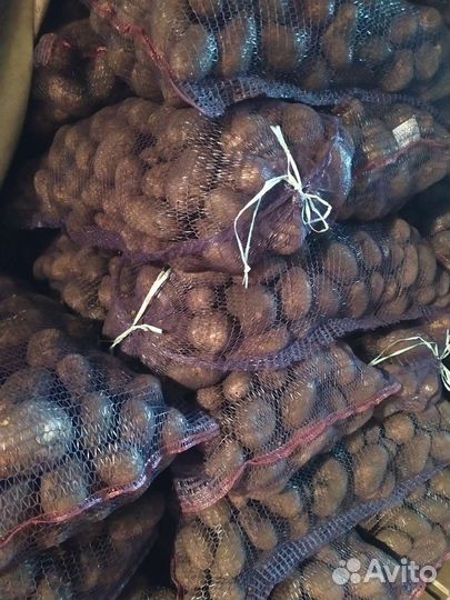 Продам картофель
