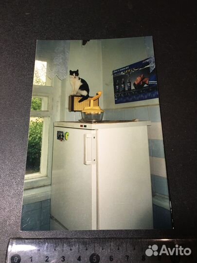 Кухня холодильник кот на радио реклама Пепси Pepsi