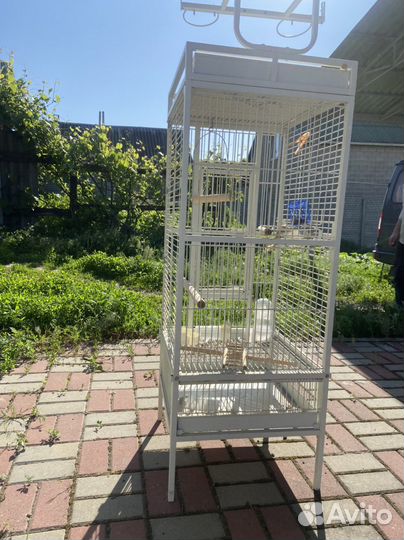 Клетка для попугаев