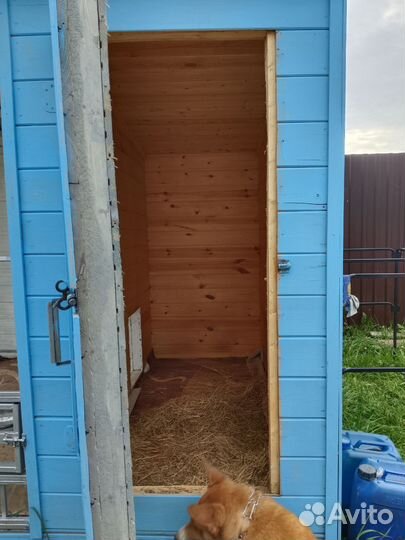 Клетка вольер для большой собаки бу