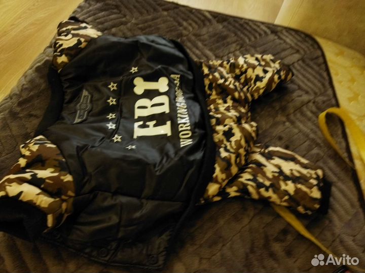 Одежда для маленьких собак зима