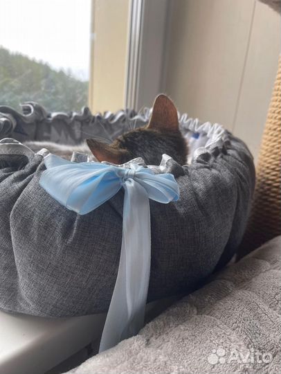 Лежанка для животных