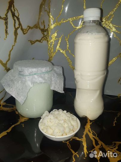 Чайный гриб, молочный гриб