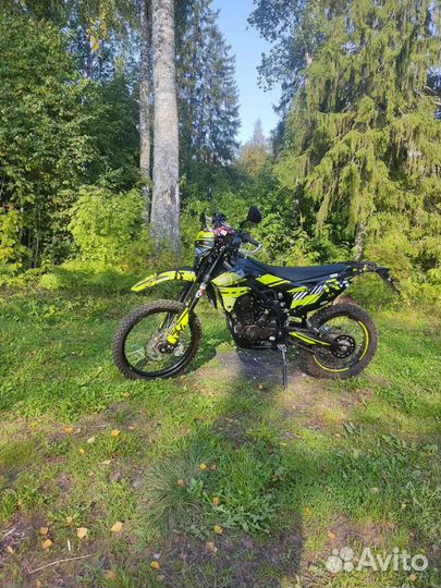 Regulmoto zr250 pr