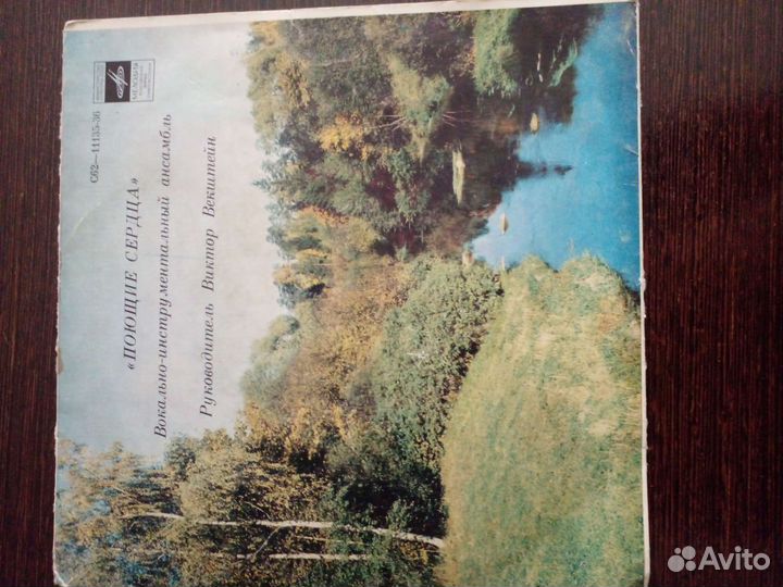 Виниловые пластинки