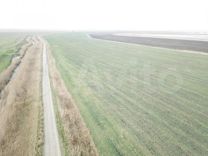 Участок 45,29 га (СНТ, ДНП)