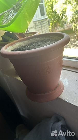 Горшки для цветов пластиковые