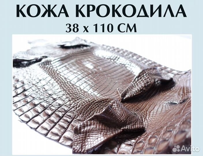Кожа крокодила коричневая 38*110см(в наличии)