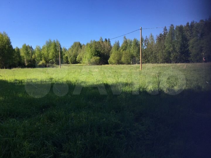 Участок 19 сот. (СНТ, ДНП)