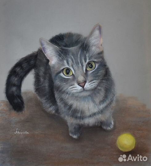 Портреты животных, питомцев на заказ