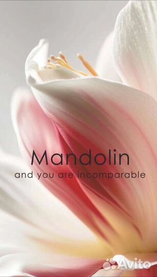 Анимация логотипа