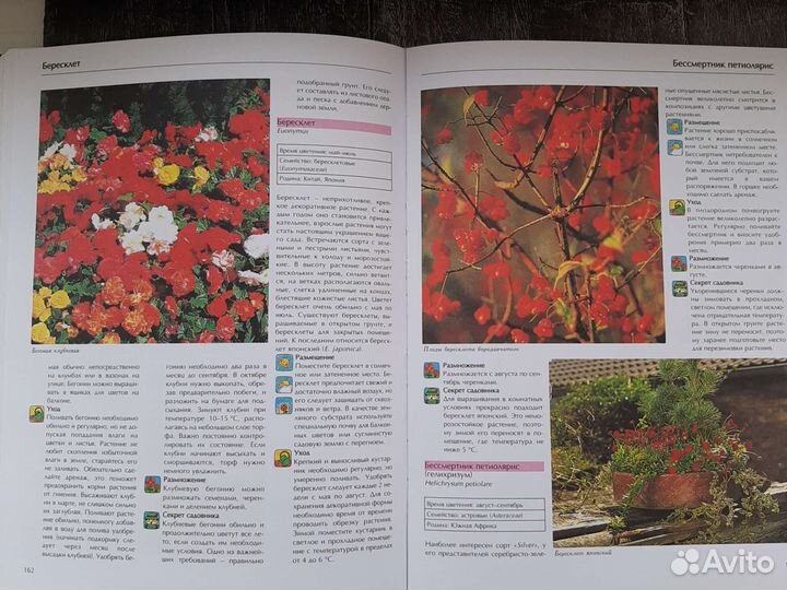 Энциклопедия комнатных растений