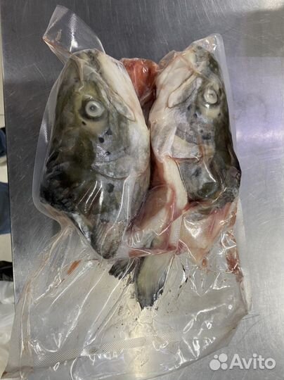 Супоновой набор, лосось