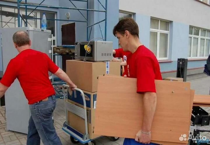 Грузчики. Грузоперевозки. Переезды. Вывоз мусора