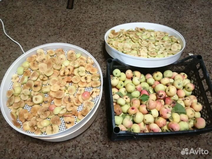 Сушеные яблоки