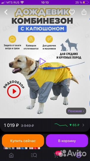 Дождевик для собак