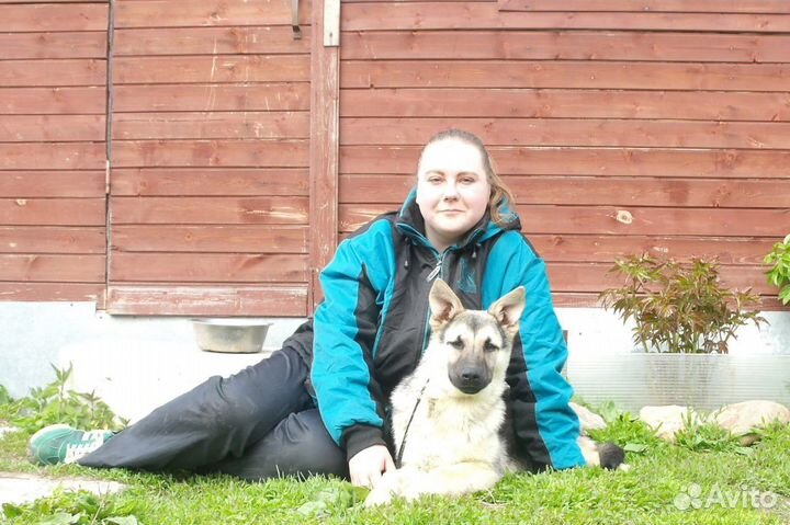 Щеночки вео