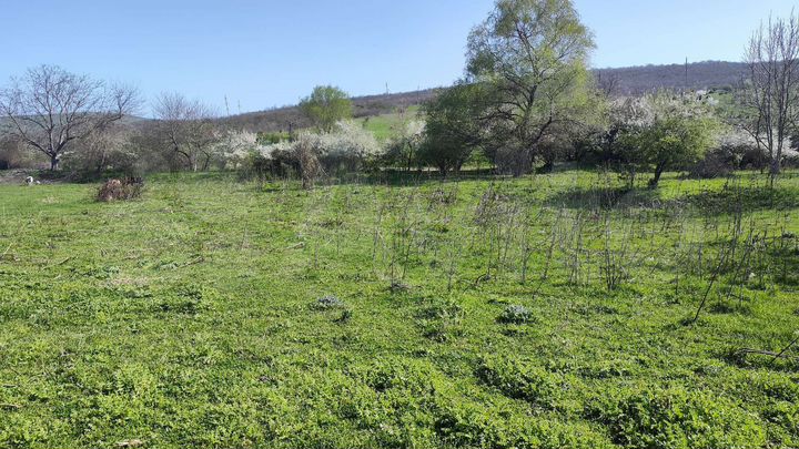 Участок 25 сот. (СНТ, ДНП)