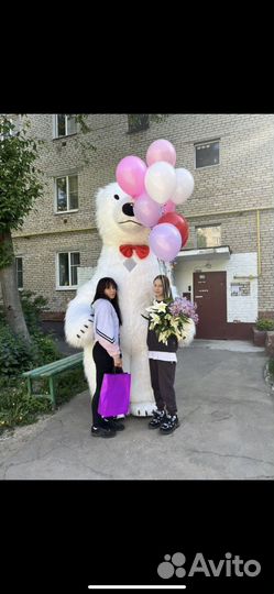 Танцующий белый медведь/Аниматор/Ростовая кукла