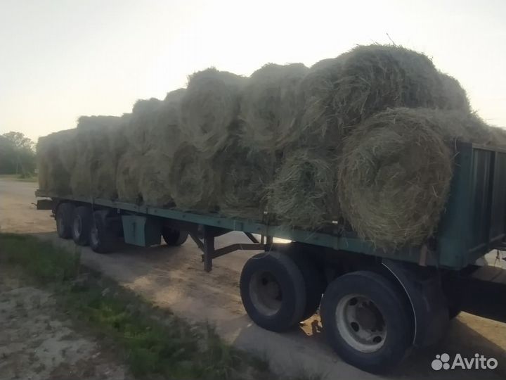 Сено в рулонах и в тюках