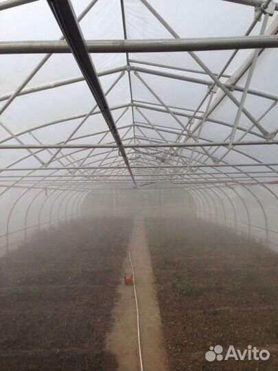 Система тумана для теплиц - сиод