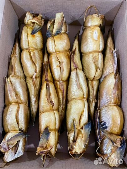 Горбуша горячего копчения