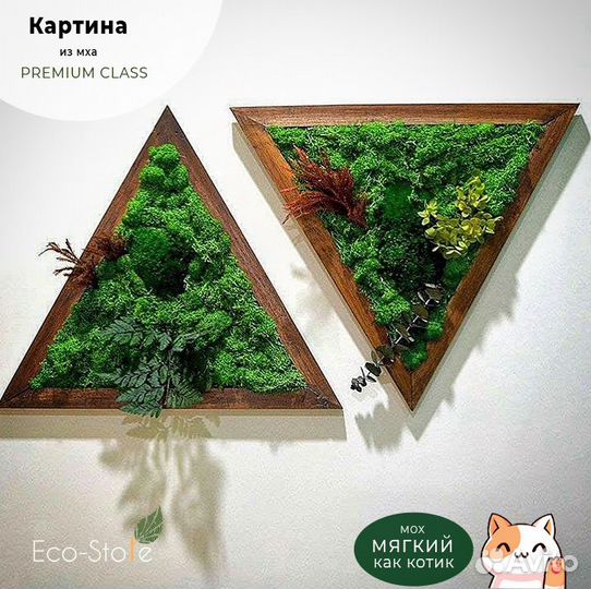 Картина из мха треугольная