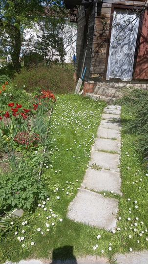 Дом 40 м² на участке 10 сот.