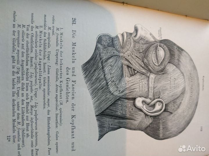 Книга по анатомии человека