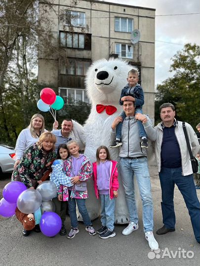 Поздравление от Белого Медведя