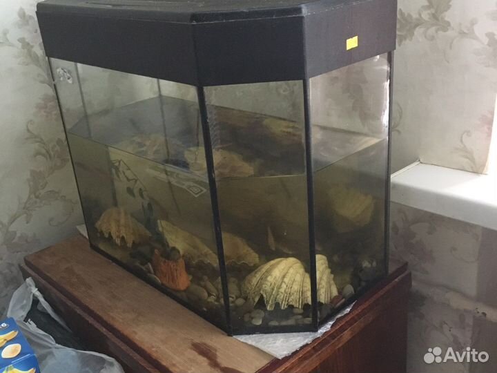 Аквариум на 50 литров с крышкой