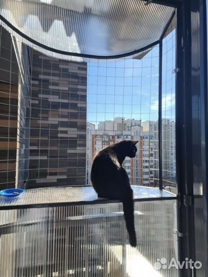 Защита от выпадения кошек, балкон для кота