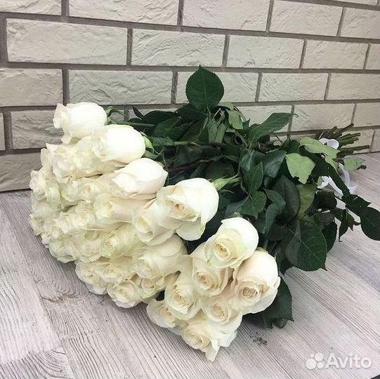 Розы гиганты 140 150 160 170 180 200