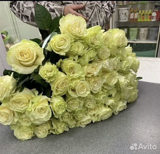 Роза цветы букеты