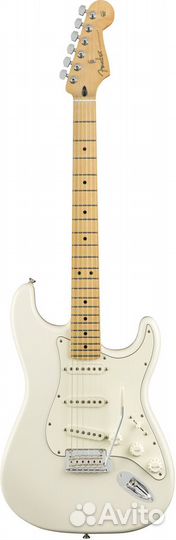 Fender player strat MN PWT
