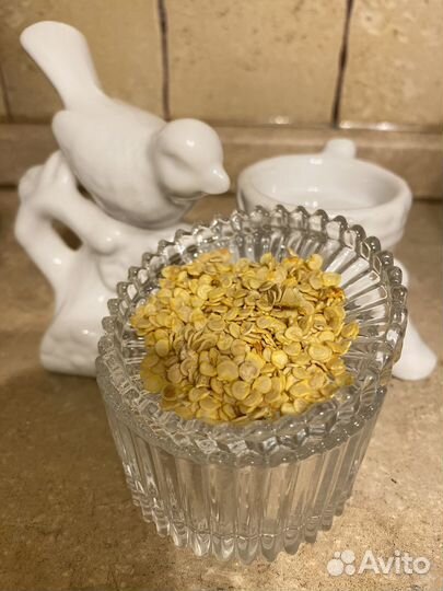 Перец семена,потрясающие сорта