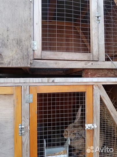 Клетка для кролика