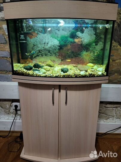 Аквариум с тумбой 80 литров