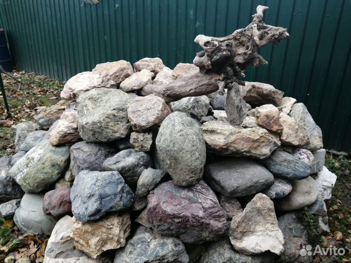 Окаменелости