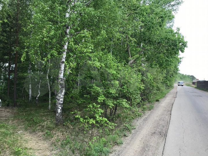 Участок 7 сот. (СНТ, ДНП)