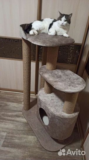 Когтеточки, домики для кошек В наличии И подзаказ