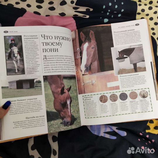 Лошади и пони. Иллюстрированная энциклопедия