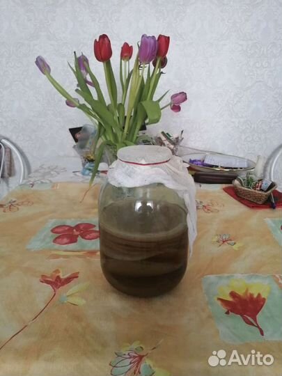 Цветное растение