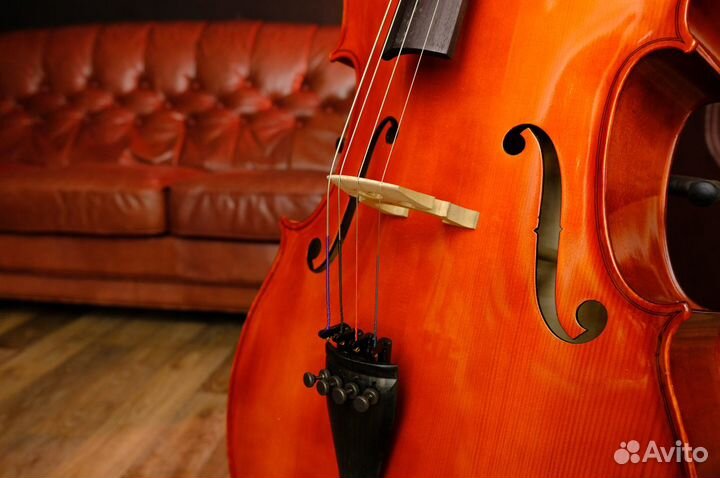 Виолончель студенческая 1/2